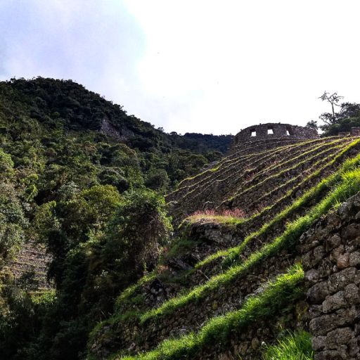 06062016-20160606_125347