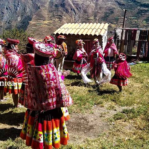 11062022-IMG_20220611_114029