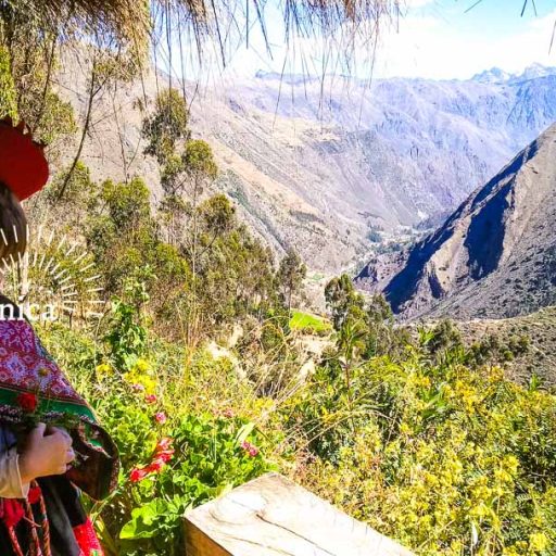 11062022-IMG_20220611_125433