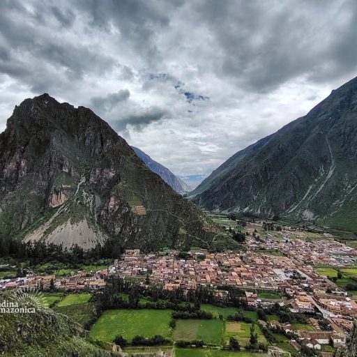 12012025-IMG_20250112_121241