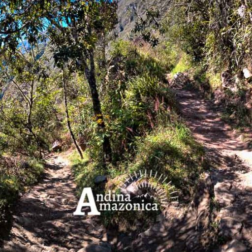 13062025-IMG_20250613_093851