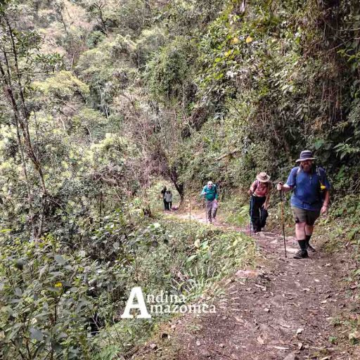 13092025-IMG_20250913_121747