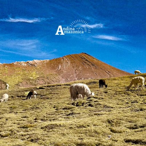 14072023-IMG_20230714_104603