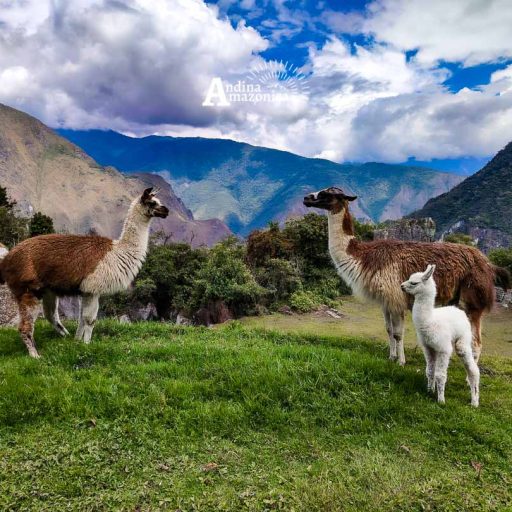 14092025-IMG_20250914_111118