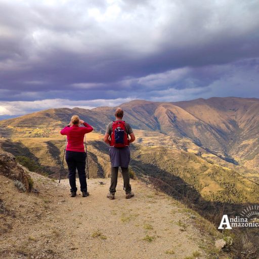 15102024-IMG_20241015_162559