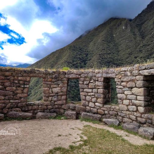 17052025-IMG_20250517_112202