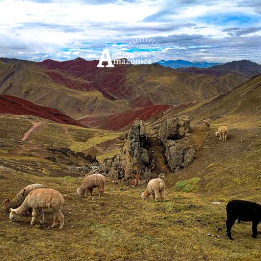 17072025-IMG_20250717_100714~2