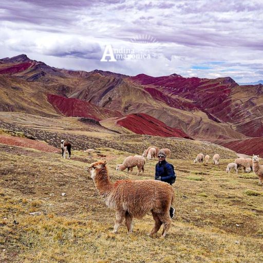 17072025-IMG_20250717_101707~2