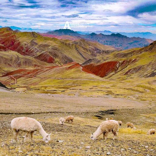 17072025-IMG_20250717_103858~2