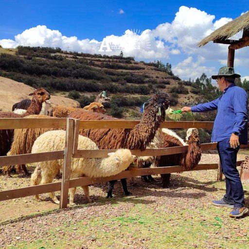 20082025-IMG_20250820_104814