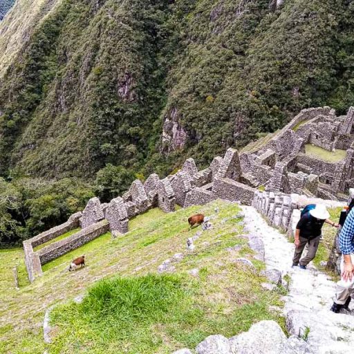 20102019-IMG_20191020_113335_1