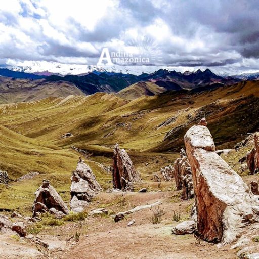 23032022-IMG_20220323_120911