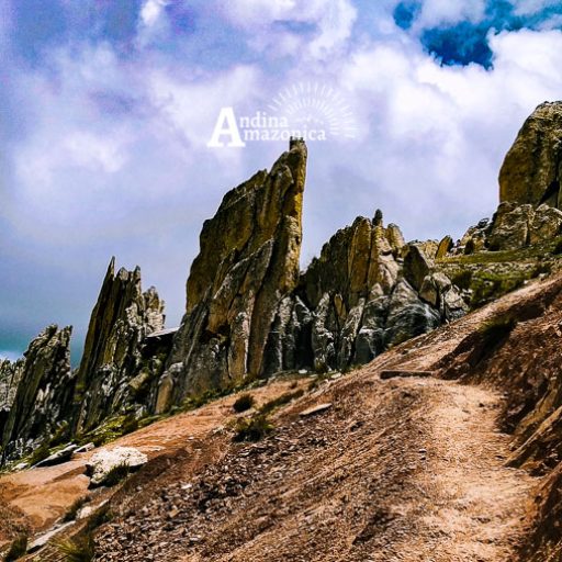 23032022-IMG_20220323_121606