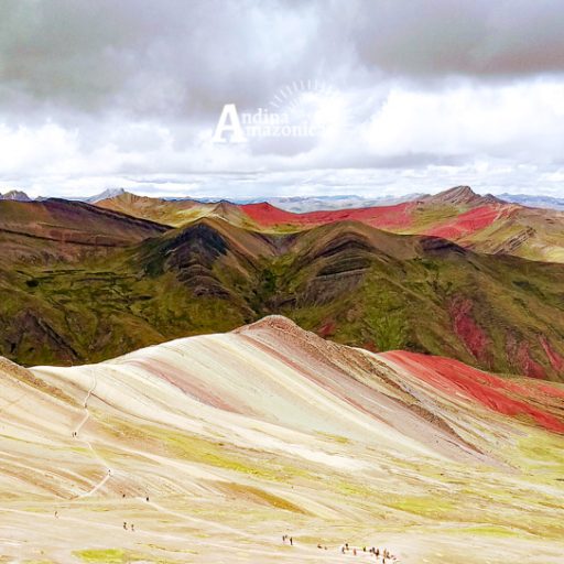 23032022-IMG_20220323_121753