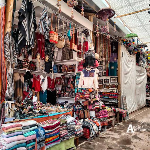 25112024-IMG_20241125_104220