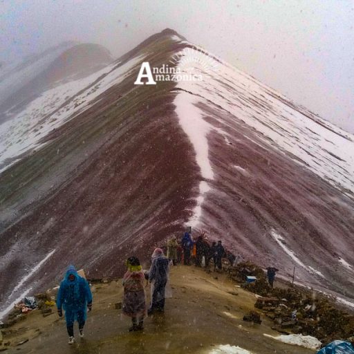 26102018-20181026_121906