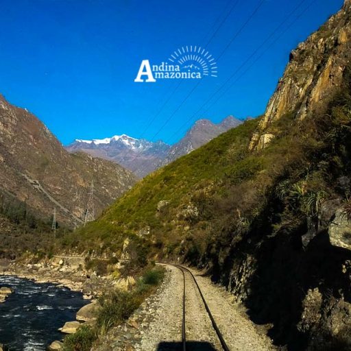 28072017-20170722_074024-1