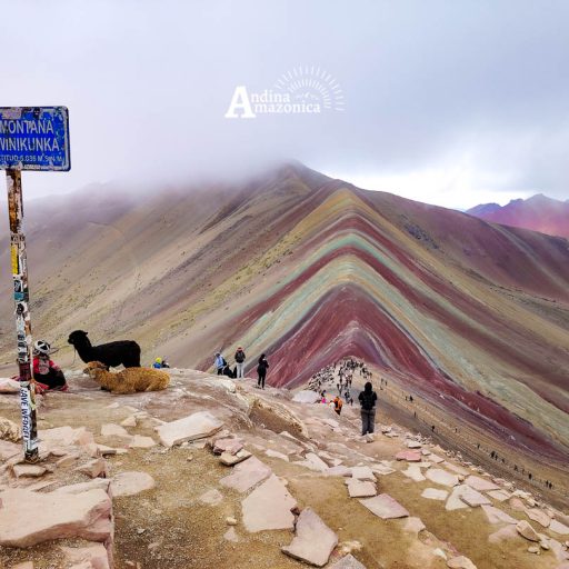 28102024-IMG_20241028_091100