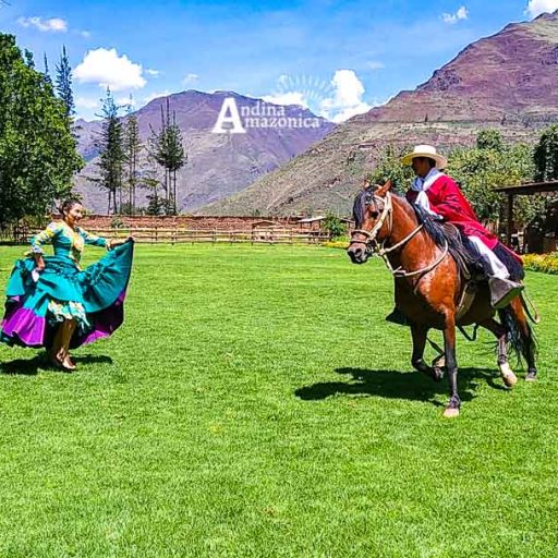 30112019-IMG_20191130_130101