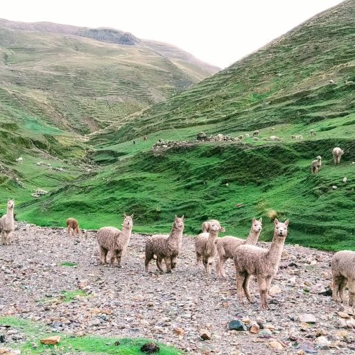 IMG_20191215_122356~2